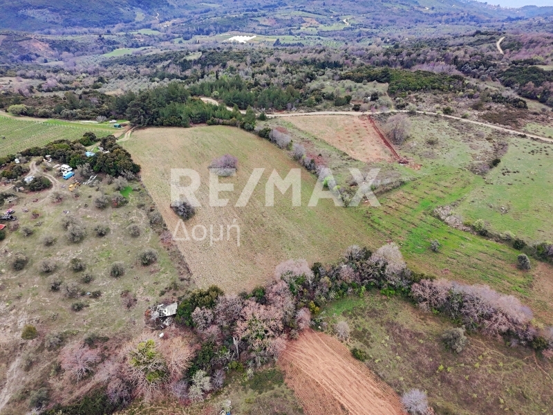 HouseFor Sale, Xinovrisi, Argalasti, Magnesia