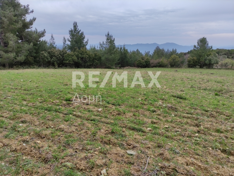 HouseFor Sale, Xinovrisi, Argalasti, Magnesia