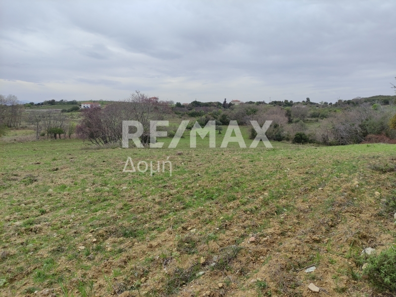 HouseFor Sale, Xinovrisi, Argalasti, Magnesia