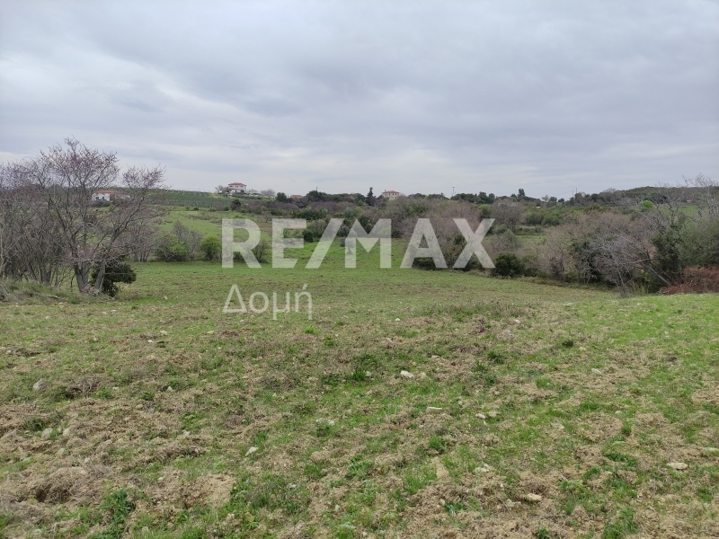 HouseFor Sale, Xinovrisi, Argalasti, Magnesia