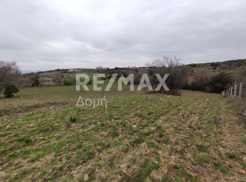 HouseFor Sale, Xinovrisi, Argalasti, Magnesia