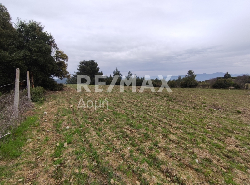 HouseFor Sale, Xinovrisi, Argalasti, Magnesia