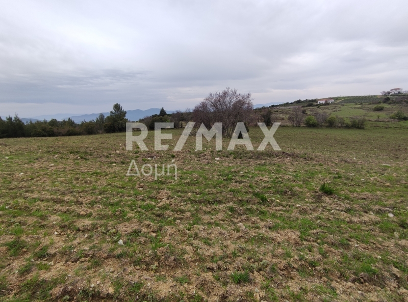 HouseFor Sale, Xinovrisi, Argalasti, Magnesia