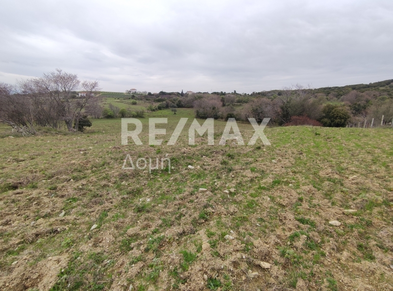 HouseFor Sale, Xinovrisi, Argalasti, Magnesia