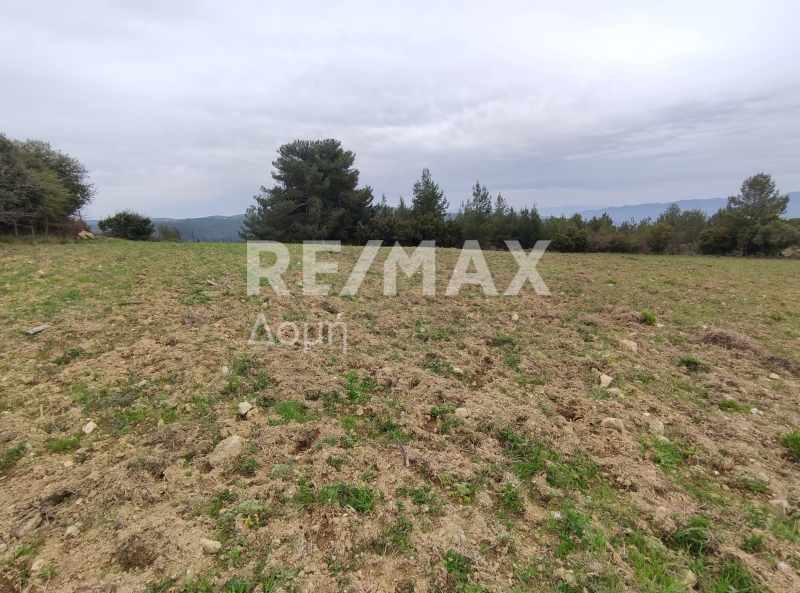 HouseFor Sale, Xinovrisi, Argalasti, Magnesia