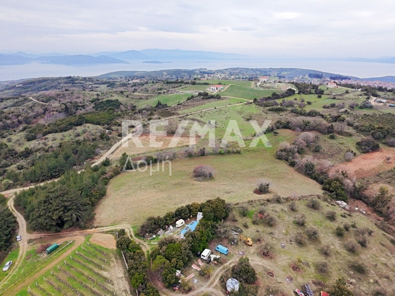 HouseFor Sale, Xinovrisi, Argalasti, Magnesia
