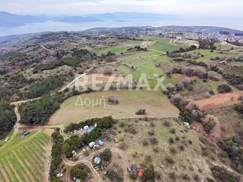 HouseFor Sale, Xinovrisi, Argalasti, Magnesia