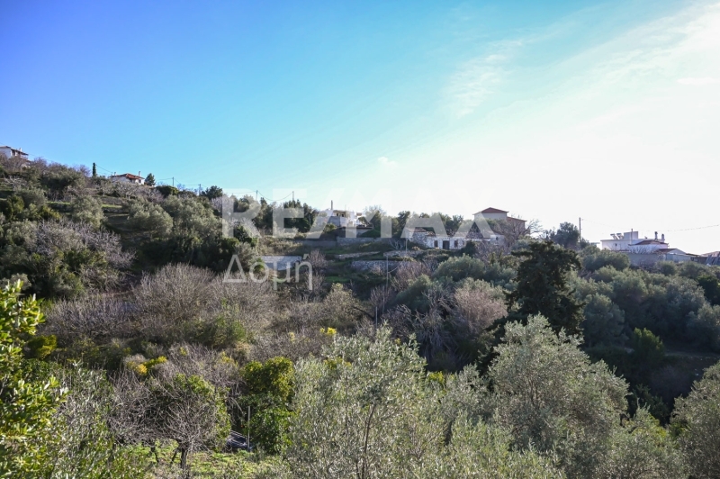 HouseFor Sale, Patitiri, Alonnisos, Sporades