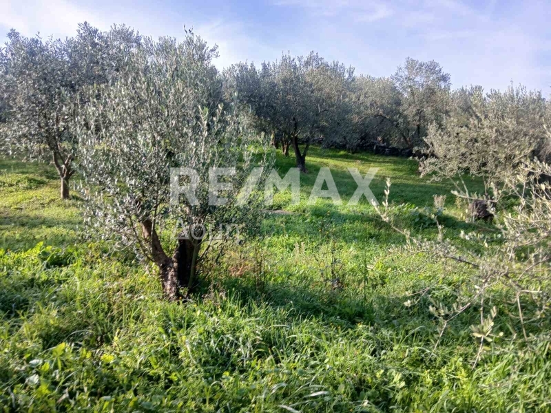 HouseFor Sale, Dimini, Aisonia, Magnesia