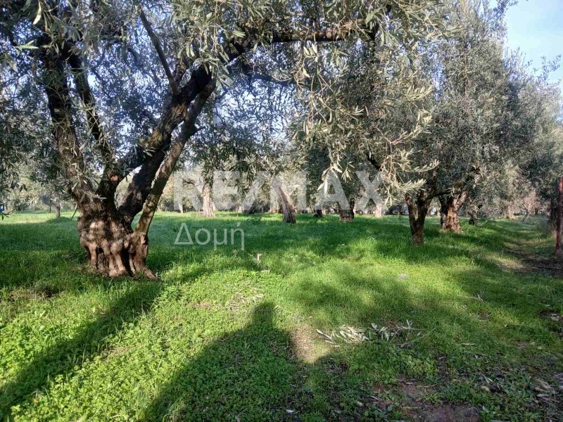 HouseFor Sale, Dimini, Aisonia, Magnesia