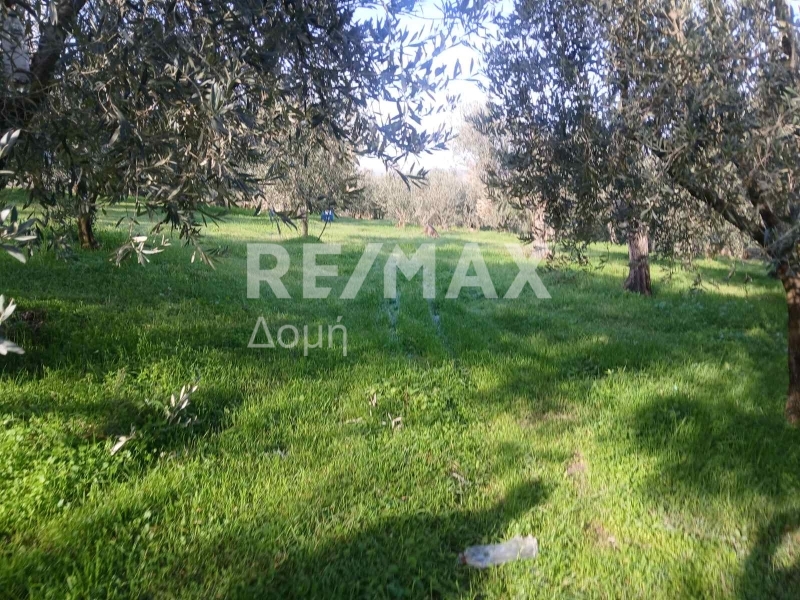 HouseFor Sale, Dimini, Aisonia, Magnesia