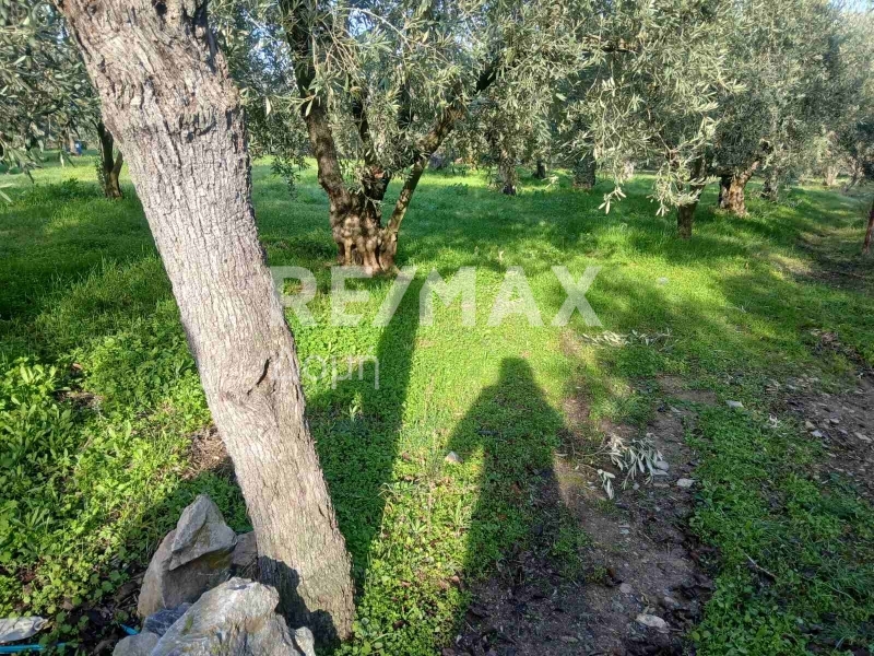 HouseFor Sale, Dimini, Aisonia, Magnesia