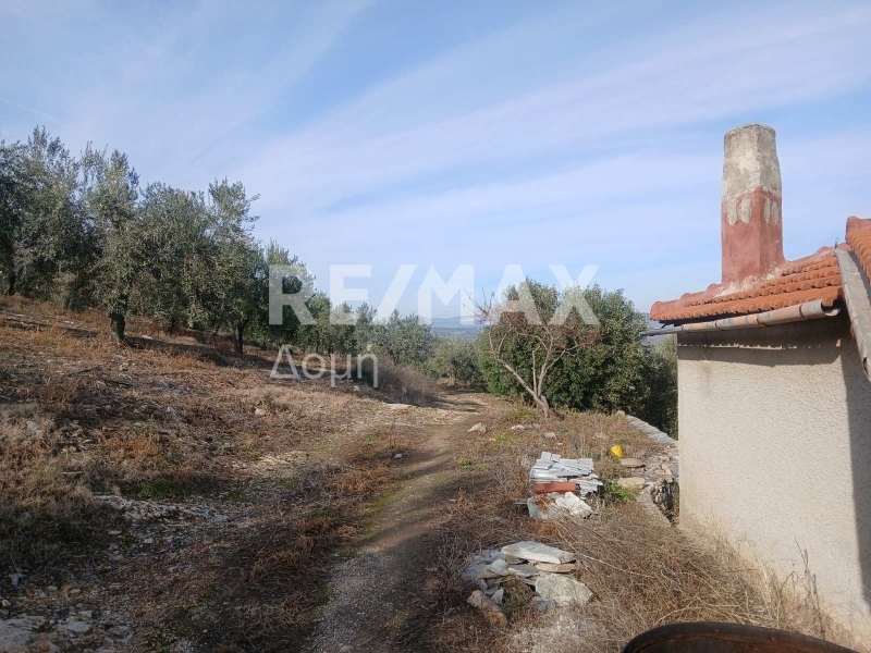 HouseFor Sale, Dimini, Aisonia, Magnesia