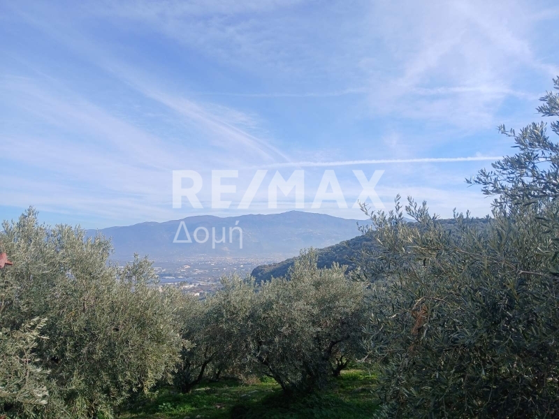 HouseFor Sale, Dimini, Aisonia, Magnesia