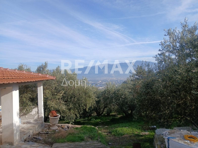 HouseFor Sale, Dimini, Aisonia, Magnesia