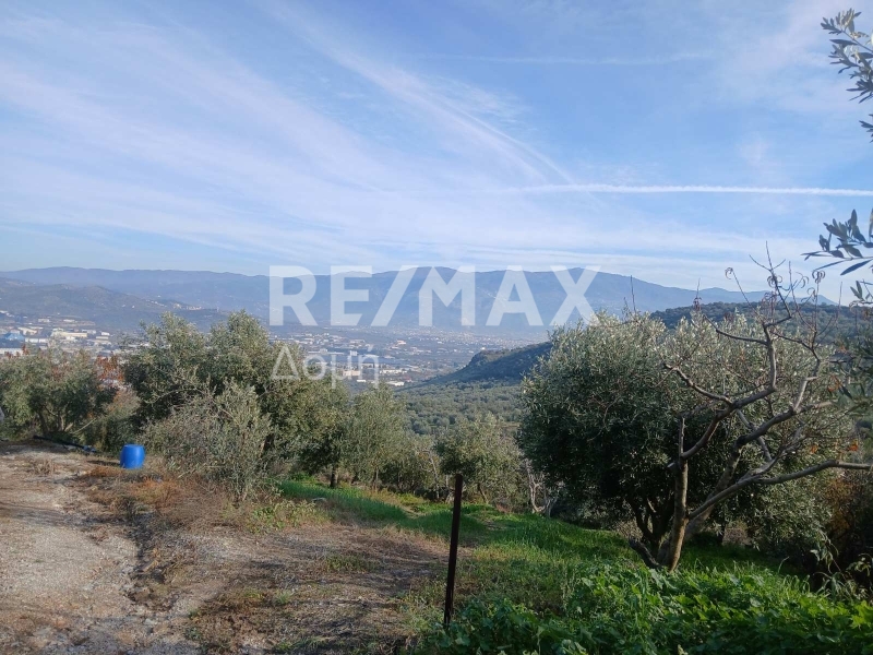 HouseFor Sale, Dimini, Aisonia, Magnesia