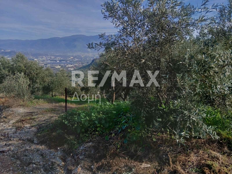 HouseFor Sale, Dimini, Aisonia, Magnesia