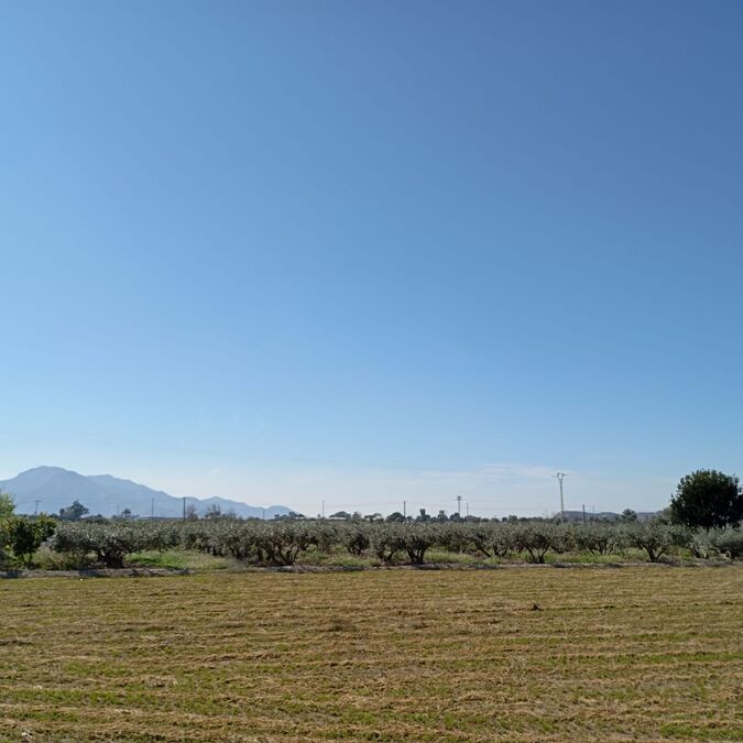 2 Bed, 1 Bath, HouseFor Sale, Catral, Alicante