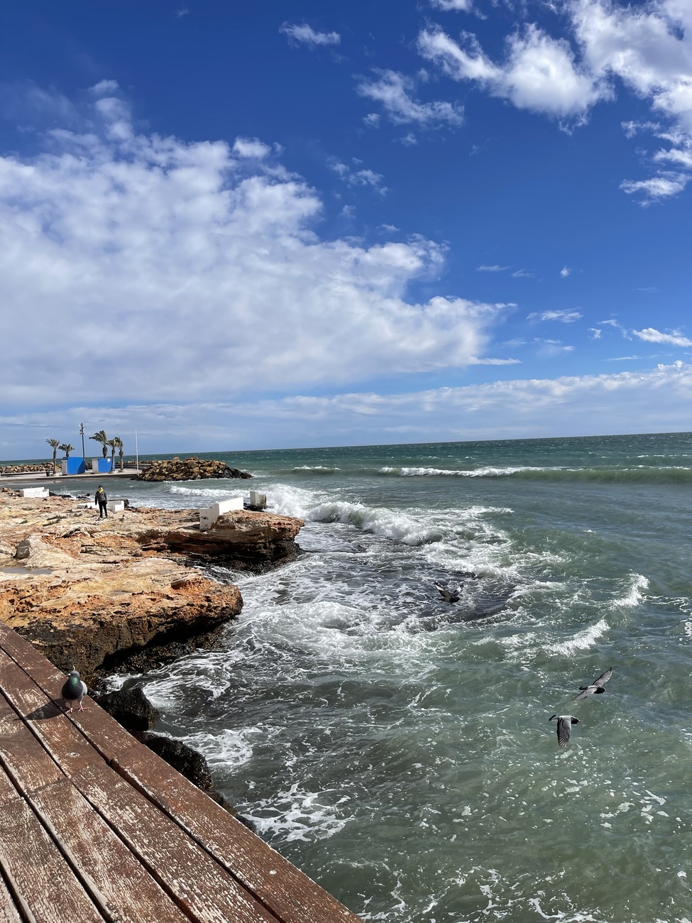 3 Bed, 2 Bath, ApartmentFor Sale, Torrevieja, Alicante