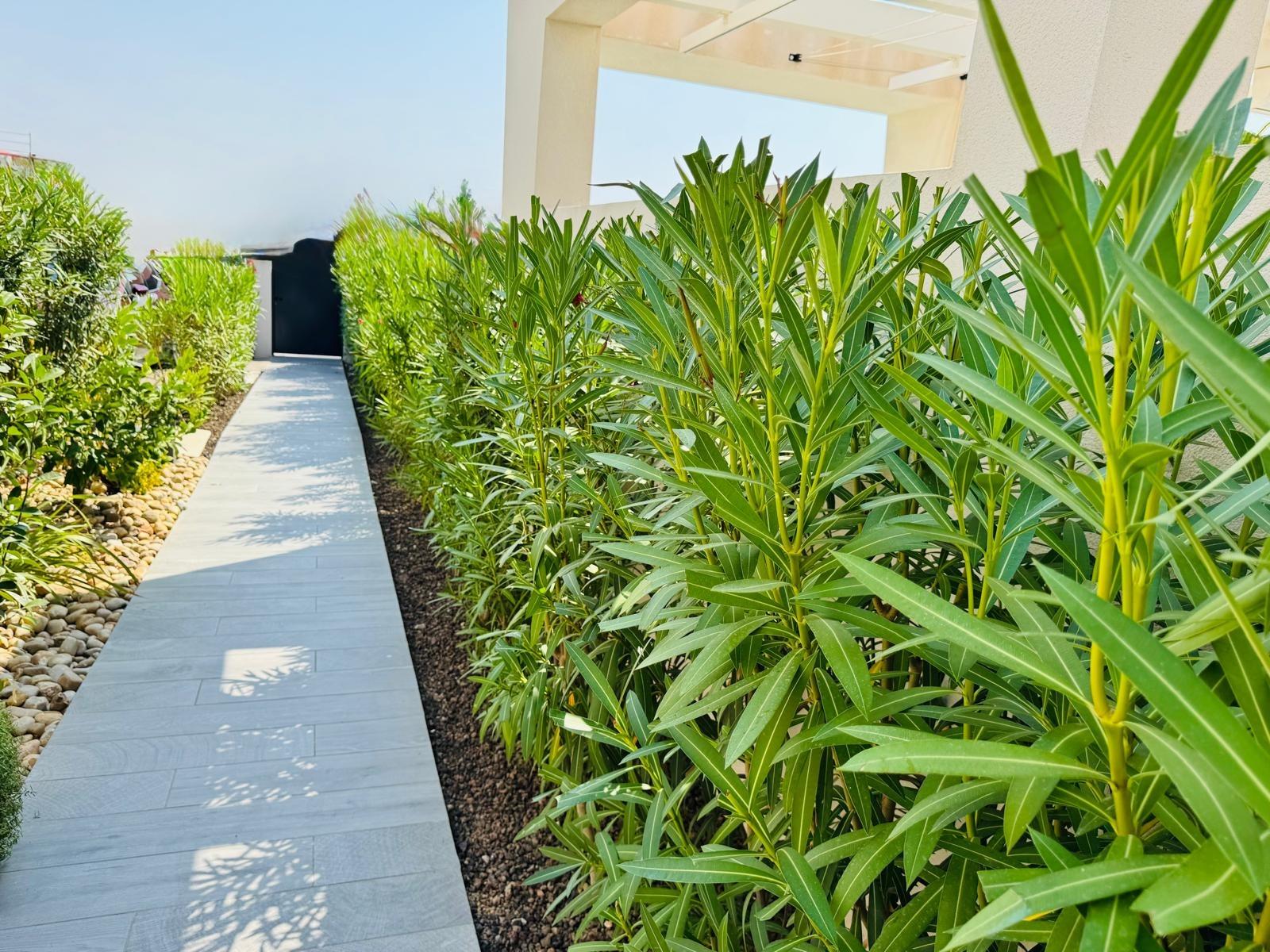 3 Bed, 2 Bath, HouseFor Sale, Algorfa, Alicante