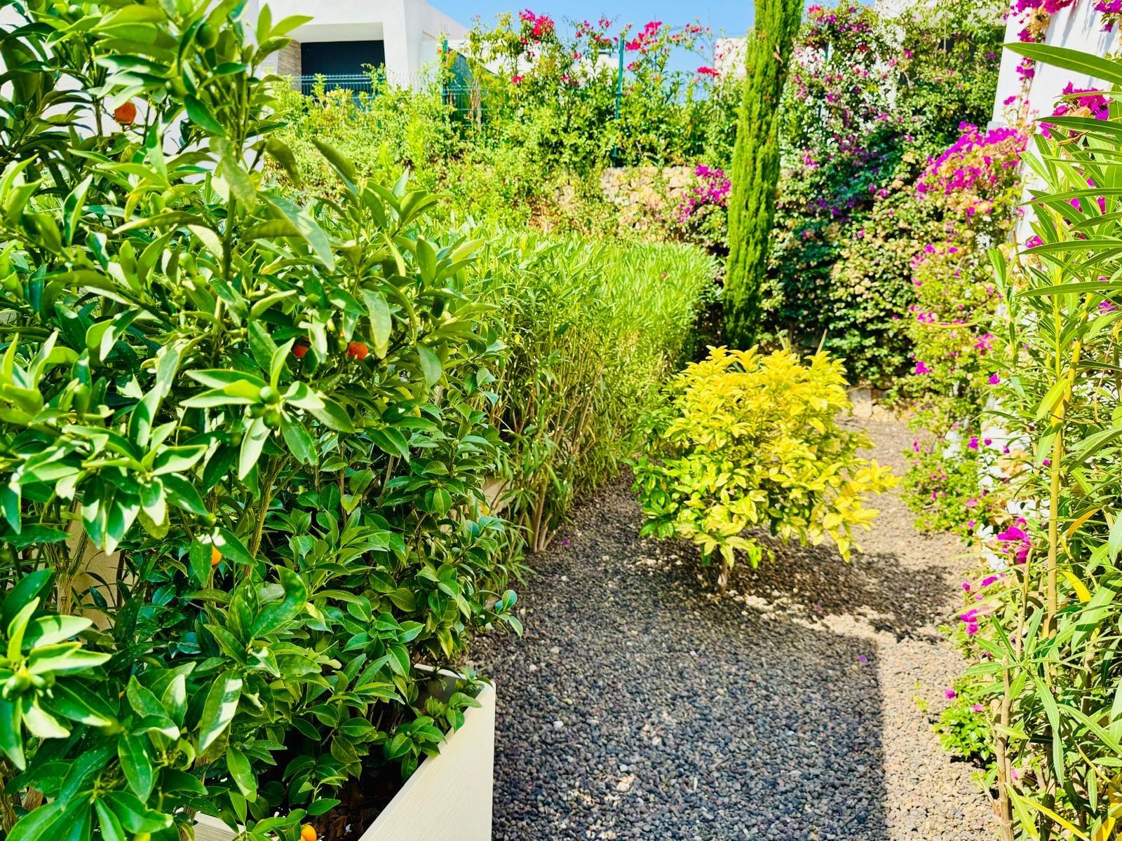 3 Bed, 2 Bath, HouseFor Sale, Algorfa, Alicante