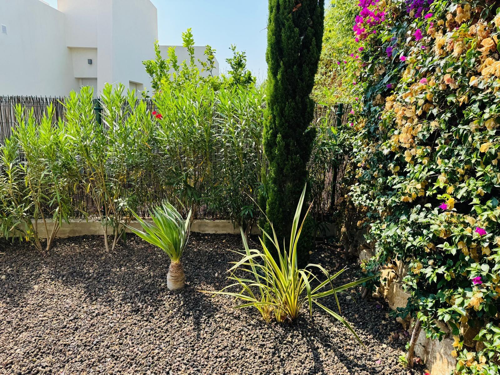 3 Bed, 2 Bath, HouseFor Sale, Algorfa, Alicante