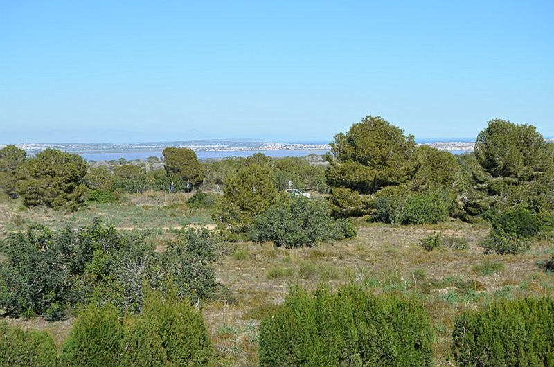 1 Bed, 1 Bath, ApartmentFor Sale, San Miguel de Salinas, Alicante