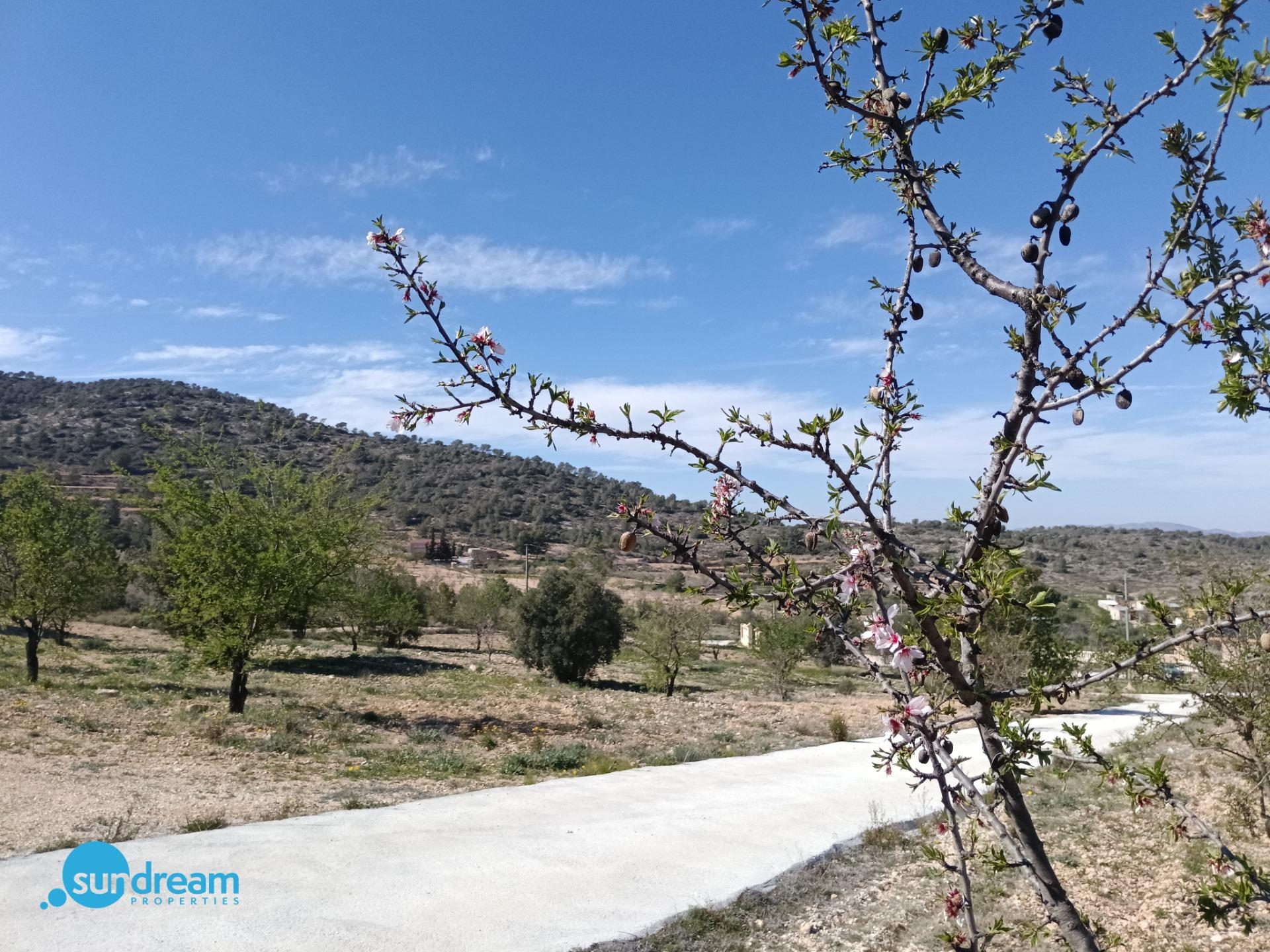 4 Bed, 2 Bath, HouseFor Sale, Abanilla, Murcia