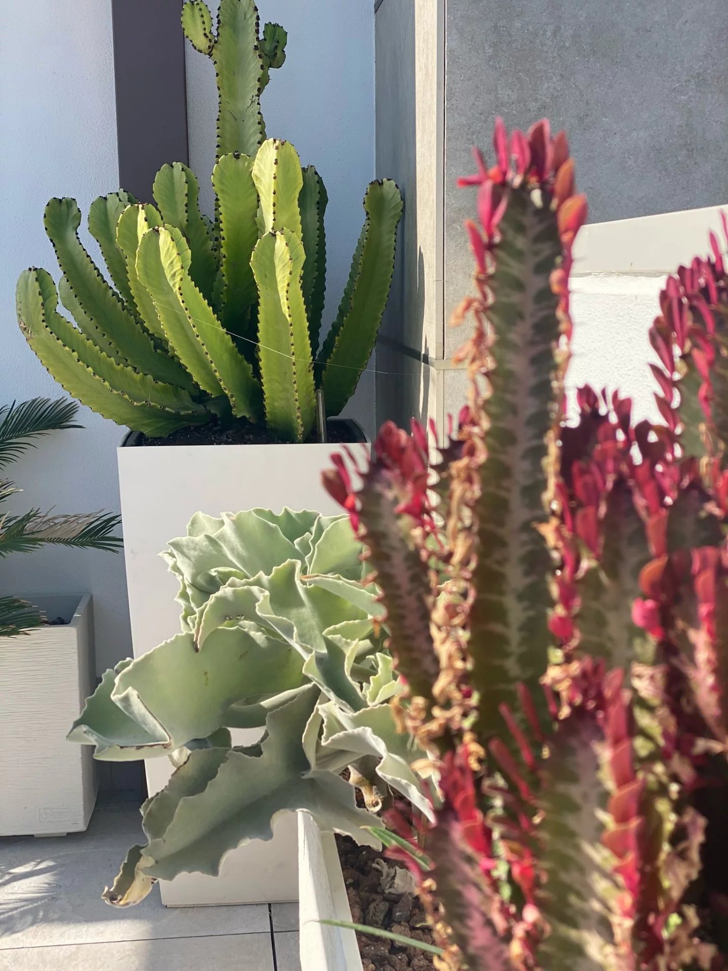 2 Bed, 1 Bath, ApartmentFor Sale, Javea, Alicante