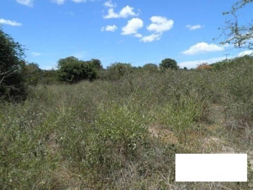Land, For Sale