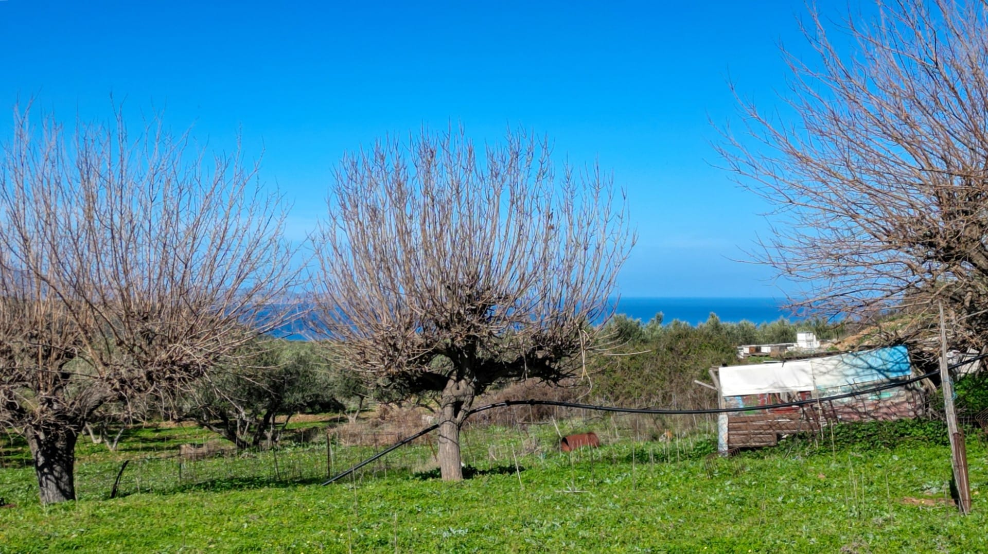 Commercial Property, For Sale