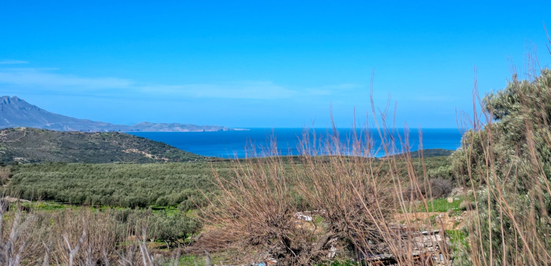 Commercial Property, For Sale