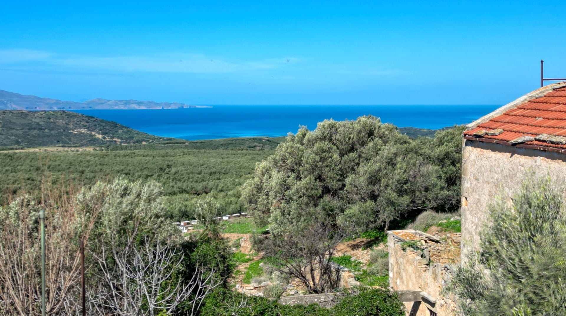 Commercial Property, For Sale