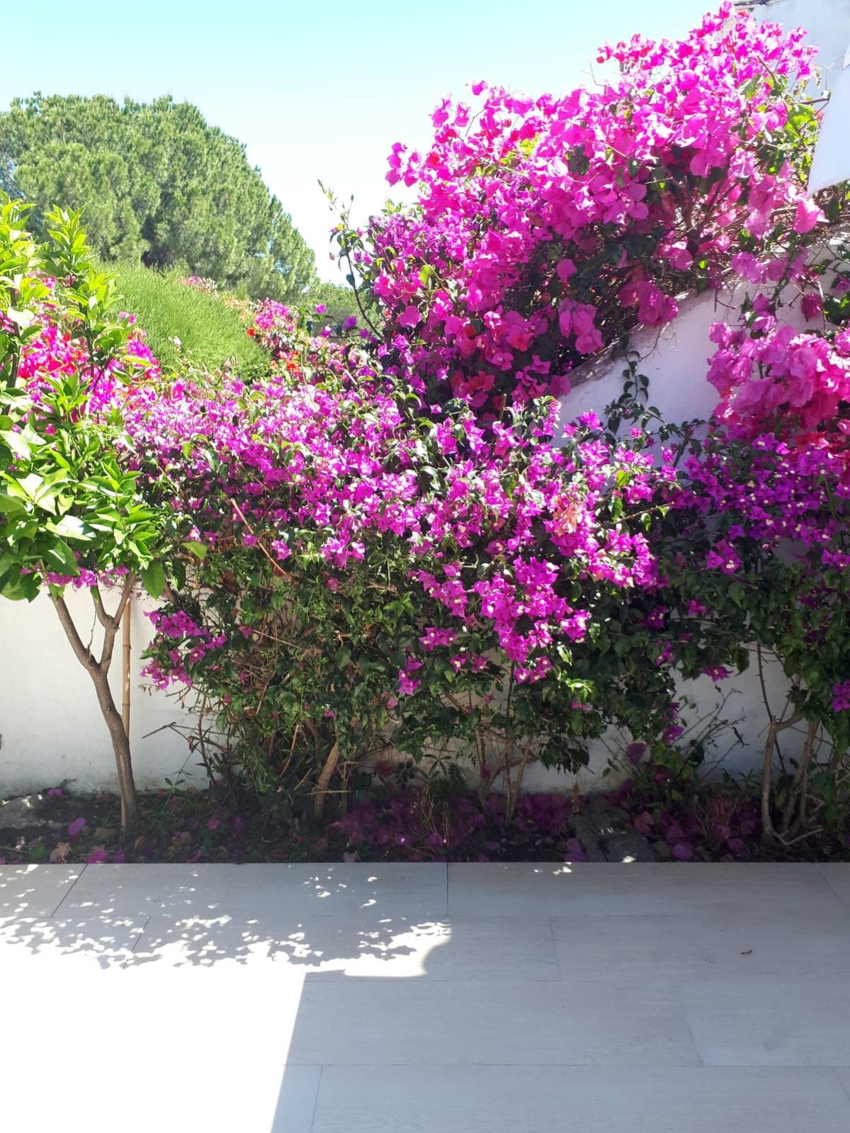 2 Bed, 2 Bath, HouseFor Sale, Nueva Andalucia, Malaga