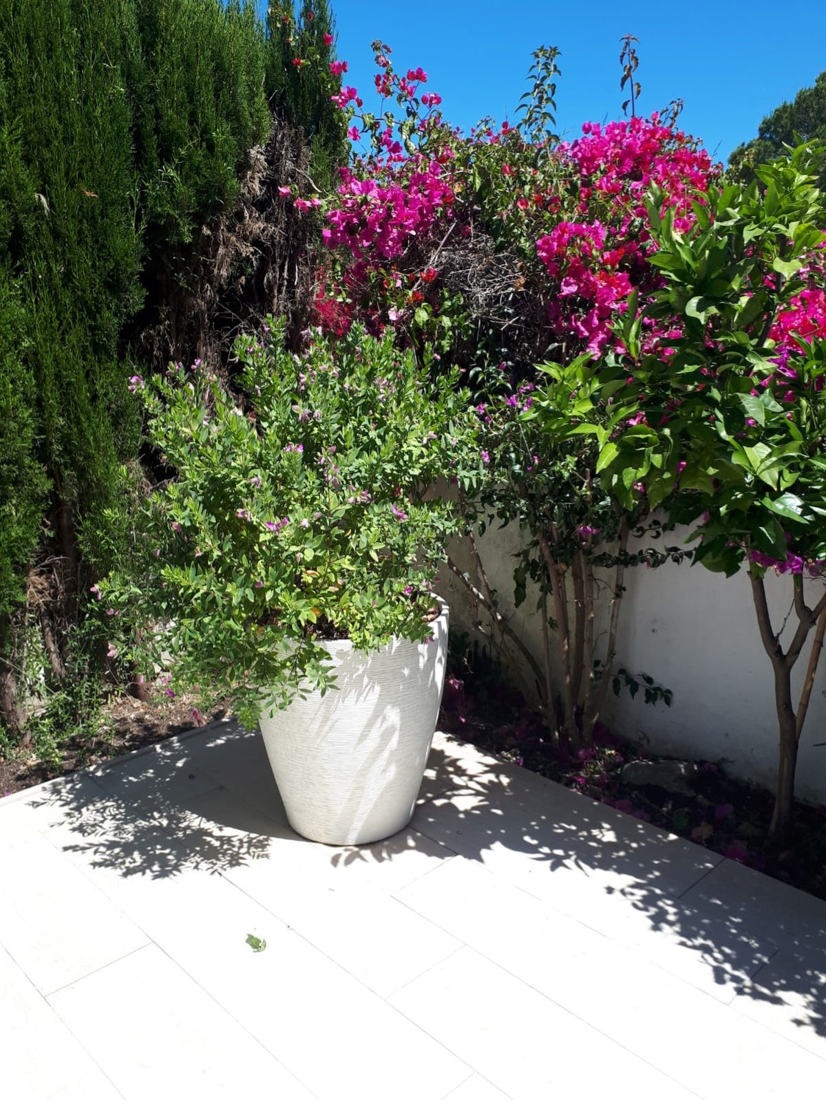 2 Bed, 2 Bath, HouseFor Sale, Nueva Andalucia, Malaga