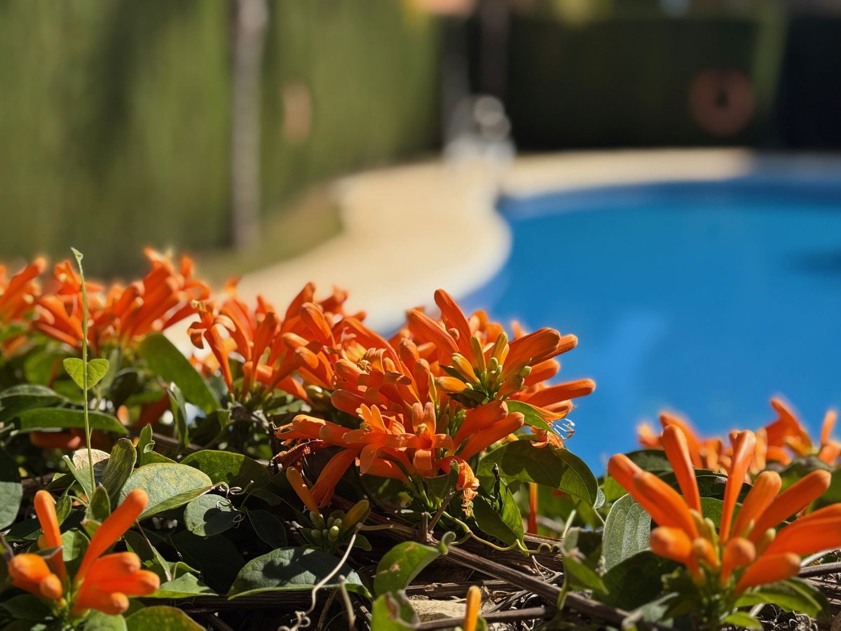 4 Bed, 3 Bath, HouseFor Sale, Estepona, Malaga