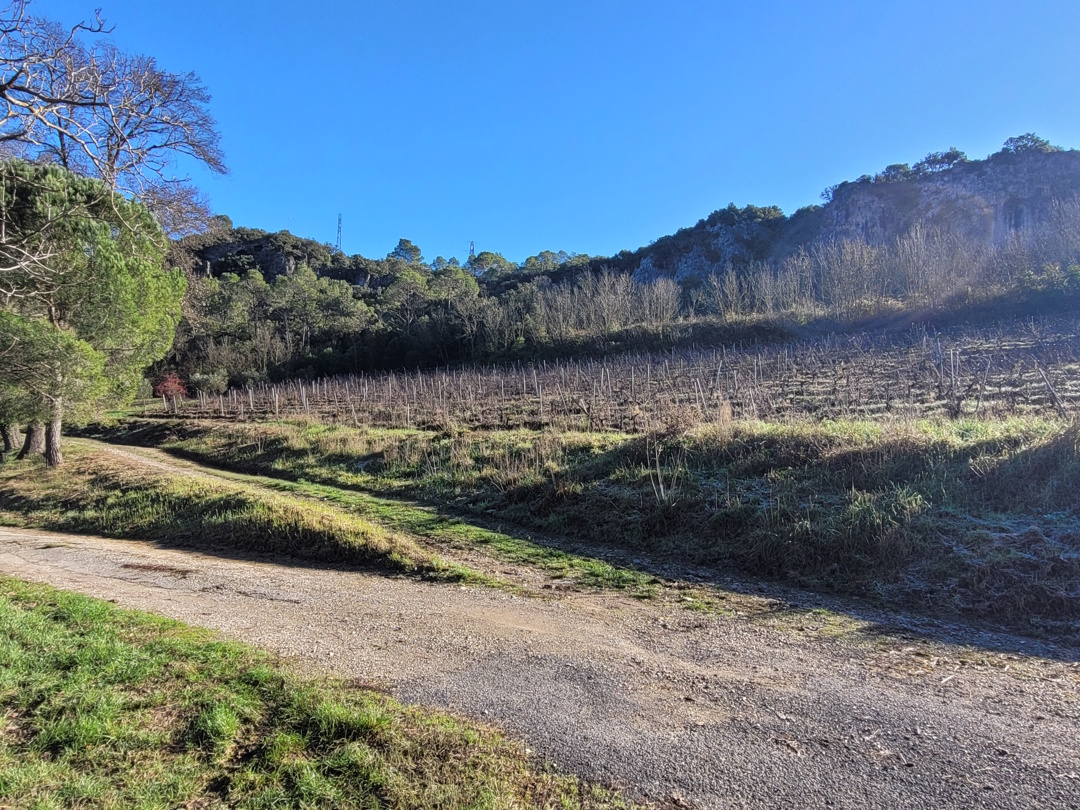 Commercial Property, For Sale