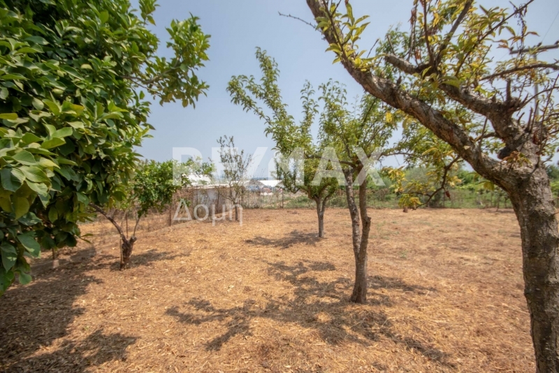 1 Bed, HouseFor Sale, Kato Lechonia, Artemida, Magnesia