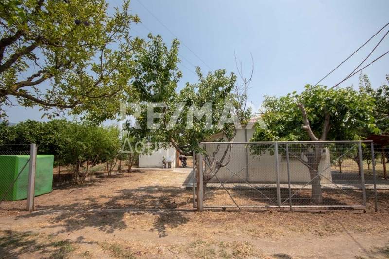 1 Bed, HouseFor Sale, Kato Lechonia, Artemida, Magnesia