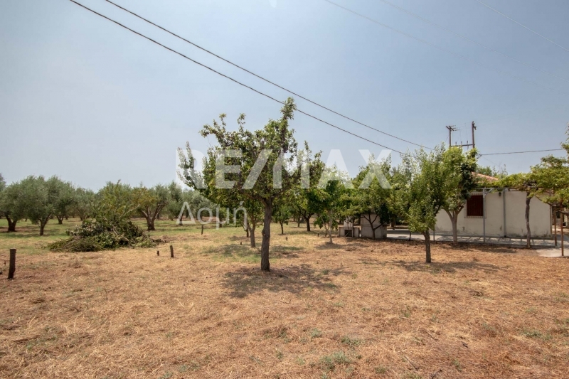 1 Bed, HouseFor Sale, Kato Lechonia, Artemida, Magnesia