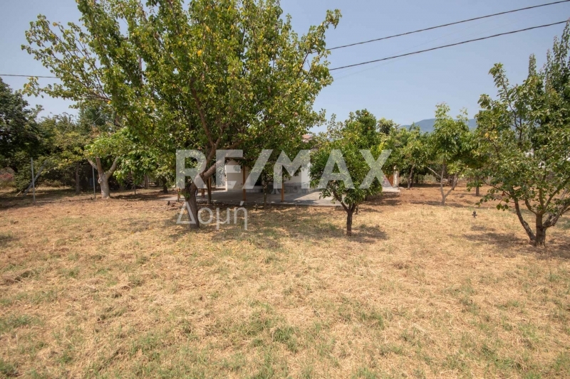 1 Bed, HouseFor Sale, Kato Lechonia, Artemida, Magnesia