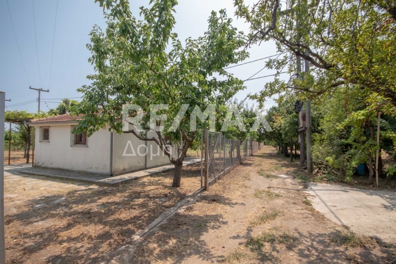 1 Bed, HouseFor Sale, Kato Lechonia, Artemida, Magnesia