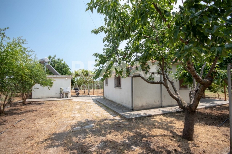 1 Bed, HouseFor Sale, Kato Lechonia, Artemida, Magnesia