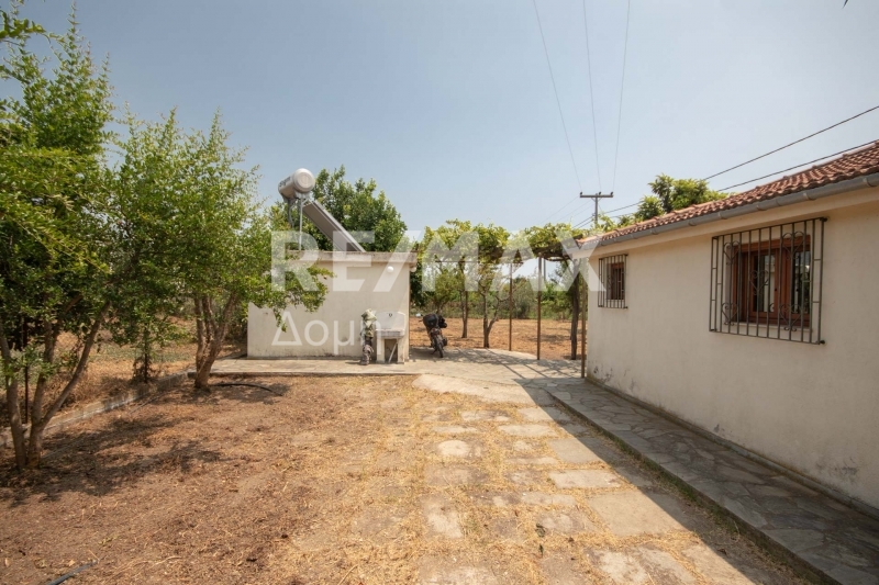 1 Bed, HouseFor Sale, Kato Lechonia, Artemida, Magnesia