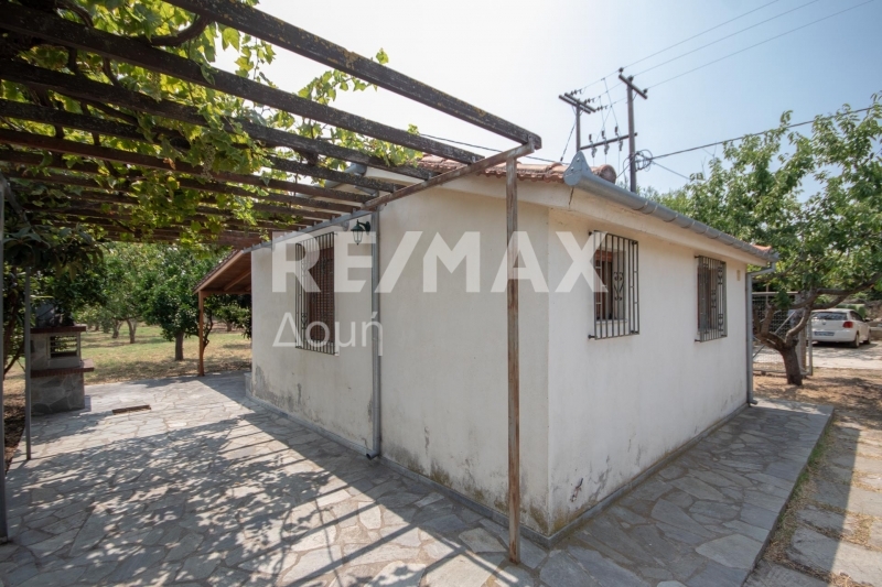 1 Bed, HouseFor Sale, Kato Lechonia, Artemida, Magnesia