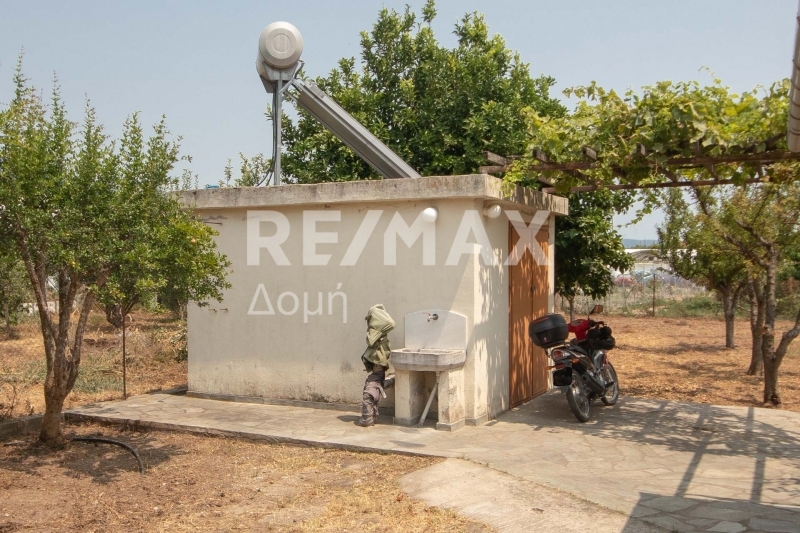 1 Bed, HouseFor Sale, Kato Lechonia, Artemida, Magnesia