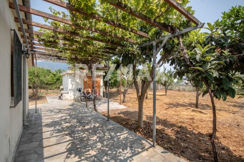 1 Bed, HouseFor Sale, Kato Lechonia, Artemida, Magnesia