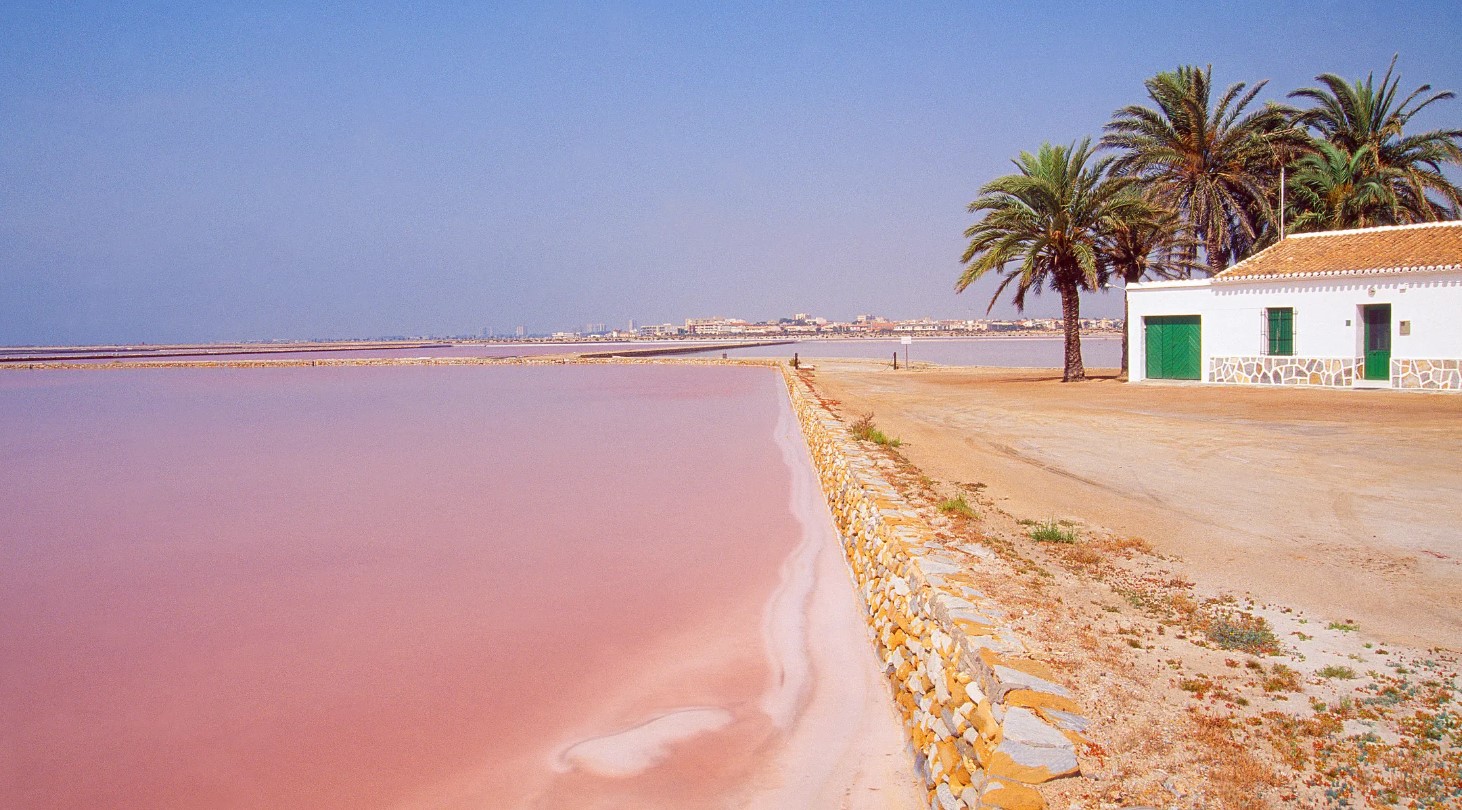 3 Bed, 3 Bath, HouseFor Sale, Pilar De La Horadada, Alicante