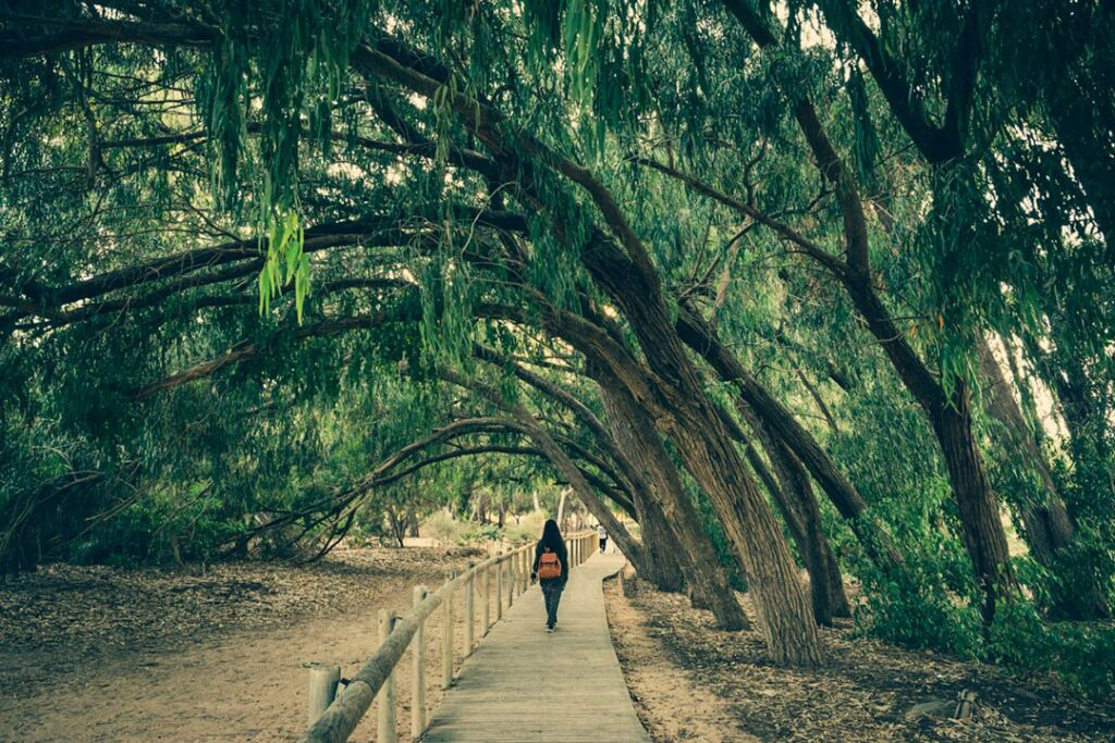 3 Bed, 3 Bath, HouseFor Sale, Los Montesinos, Alicante