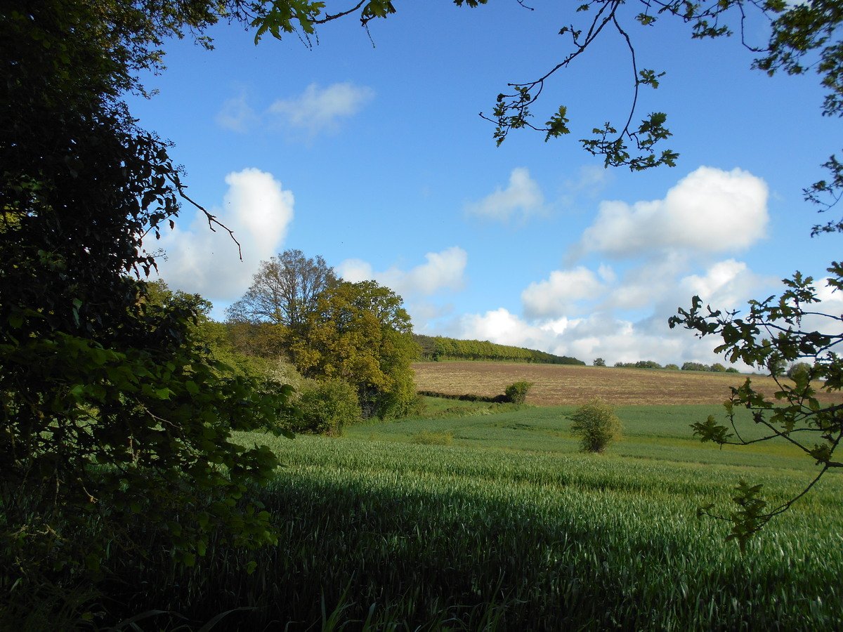 5 Bed, 3 Bath, HouseFor Sale, Courcité, Mayenne, 53700